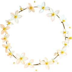 Obraz premium Jasmine chain circle with stars
