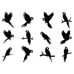 Obraz premium Black silhouette of parrots on a white background.