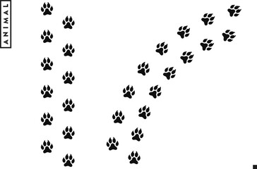 Wolf paw prints. Animal paw prints. Arctic wolf vector  