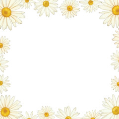 frame of daisies watercolor