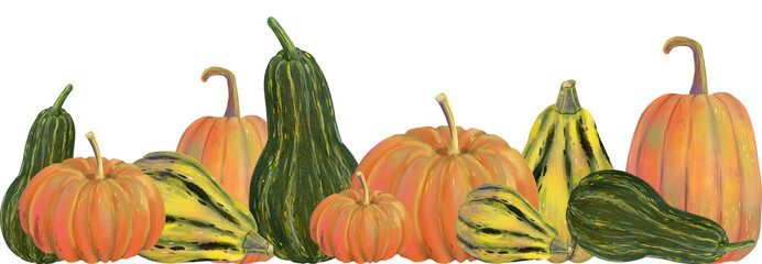 Hand drawn illustration of assorted pumpkins and gourds in autumn colors. Seamless horizontal banner, isolated on transparent background, perfect for autumn, fall and Thanksgiving designs.

