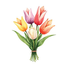 bouquet of tulips watercolor