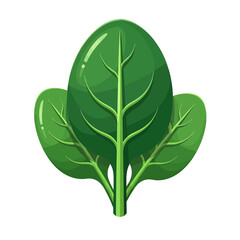 Fresh spinach leaves cartoon illustration