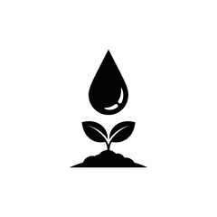 Fototapeta premium Water drop on plant seedling isolated on white background for nature and eco concept