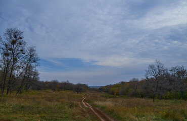 view on beautiful landscape in Ukraine