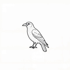 Obraz premium Detailed crow illustration on plain background, minimalist design