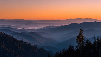 Obraz premium Misty mountain range at sunrise. Layered, hazy peaks bathed in warm, vibrant sunrise hues. Dark silhouettes of forest below