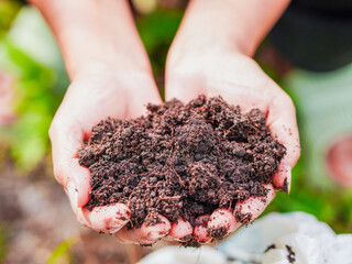 Close up hand holding soil compost in garden concept green energy, environment nature, organic. Lifestyle Woman use hand to hold fertilizer, agricultural. Sustainable and green waste. Cultivation farm