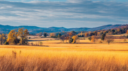 Fototapeta premium A wide, golden-hued autumn landscape with rolling hills and scattered trees covered in fall foliage. The soft sunlight creates a warm atmosphere, perfect for capturing the beauty of the season.