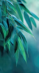 Close-up of teal-toned leaves on a branch, soft focus