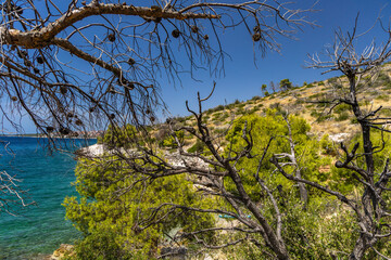 The path to the wild beach of Vela i Mala Draga on the coast of the island of Ciovo