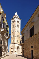 The bell tower of Trani Cathedral, also known as the Cathedral of Saint Nicholas,
stands over the houses of the seaside village - Trani - Italy