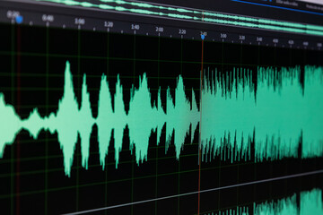 Multimedia editing software interface combining image retouch tools and audio track mixing panels.


