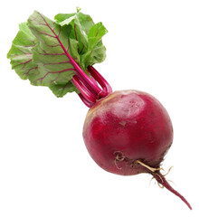 PNG Beet horse radish vegetable food organic.