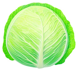 Fototapeta premium PNG Surrealistic painting of cabbage vegetable plant food.