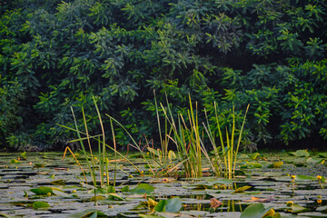 view on beautiful landscape with water