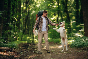 Obraz premium Doing the tricks by using stick. Man tourist is with his dog in the forest