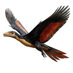 Pterosaur in Flight,  Prehistoric Reptile Illustration