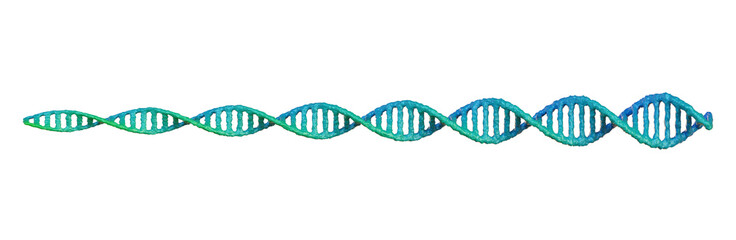 Spiral DNA double helix structure on isolated background. 3d render of dna structure. DNA double helix for design templates.