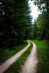 Fototapeta premium Wild mountain nature