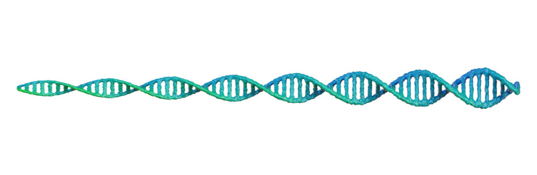 Spiral DNA double helix structure on isolated background. 3d render of dna structure. DNA double helix for design templates.
