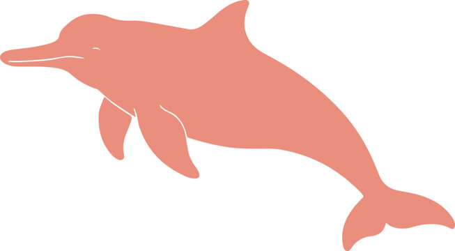 Pink amazon river dolphin art