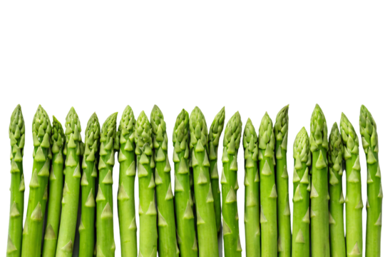 Fresh green asparagus spears arranged in a row showing detailed tips and textured stems, isolated on a transparent background