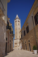 The bell tower of Trani Cathedral, also known as the Cathedral of Saint Nicholas,
stands over the houses of the seaside village - Trani - Italy
