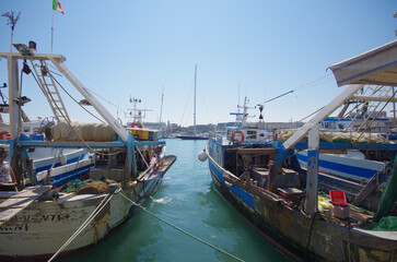 Trani  - The Port