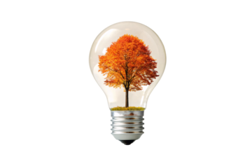 Light bulb containing beautiful orange fall tree with small grass patch at base, isolated on a transparent background