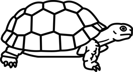 Obraz premium Tortoise line drawing, black and white reptile illustration, hexagon shell graphic, educational animal coloring art