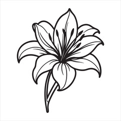 The Architectural Beauty of Agapanthus Flowers, a Symbol of Love and Fertility, Standing Tall in a Lush Garden