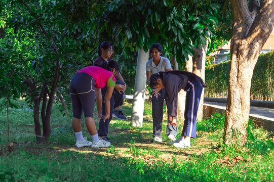 Four teen girls stretch deeply in a forward fold on a tropical park path, enjoying morning light and the surrounding greenery. - Powered by Adobe