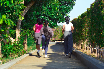 A relaxed back view of four teen girls jogging along a path lined with trees and plants in a tropical park, enjoying the early morning atmosphere together.