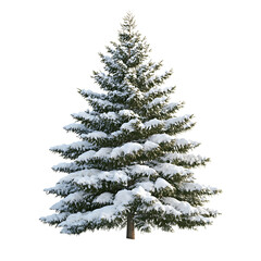 Fototapeta premium Snow Covered Fir Tree Isolated on White Background for Winter Designs