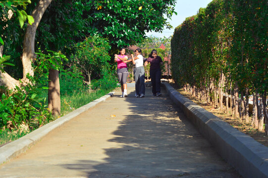 Along a tropical park path, four teen girls continue their walk while performing active shoulder stretches, maintaining rhythm and wellness in natural surroundings.