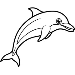 dolphin isolated on white