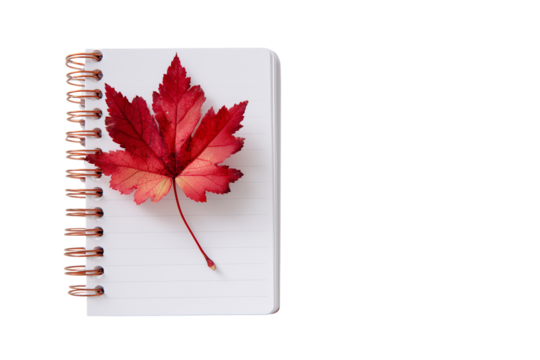 Vibrant red maple leaf rests on a white spiral bound notebook on a dark background