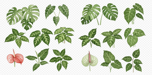 A collection of illustrated tropical houseplants like Monstera, Anthurium, and other leafy foliage, isolated for design. © studio