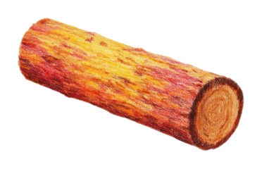 PNG Autumn log illustration texture wood.