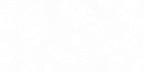 Elegant white contour map design with flowing elevation lines, blending science, technology, and art into a seamless visual experience.