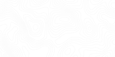 Abstract white topography with soft gradient-like line art, giving a clean, futuristic look for UI/UX backgrounds, maps, or presentations.
