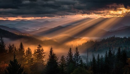 Mountain sunrise, sunbeams piercing mist