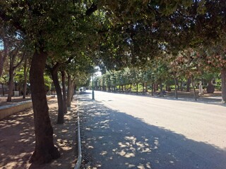 Close up photo of park in Italy