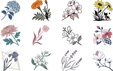 Fototapeta premium Bundle of 12 Colorful Botanical Flower Illustrations – Vintage Floral Clipart Set for Print, Design, and Digital Art Projects