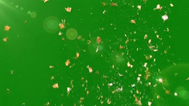 Celebration glitter rain falling from above with soft sparkling particles shimmering and twinkling on a green screen background. Bright metallic gold, rose gold, and silver confetti flakes gently