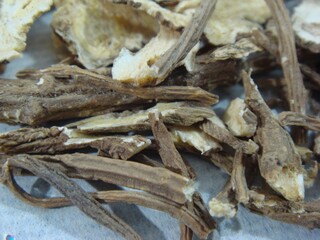 Dried Angelica tenuissima Nakai (Go-bon) is used in Korean herbal medicine to alleviate cold symptoms, ease headaches, and reduce inflammation. Photographed in Korea.