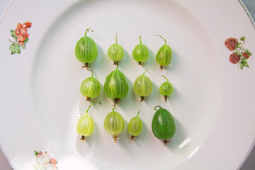 close up of colorful berries , gooseberry , currant