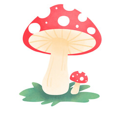 fly agaric mushroom