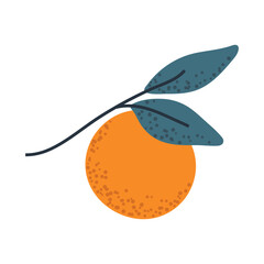 Branch with oranges, ideal for food packaging, citrus logos, or fresh design elements.